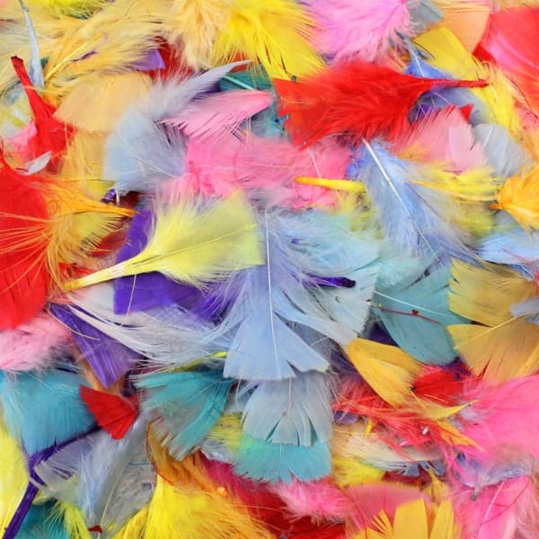 Coloured Feathers - 50g - Forward Products
